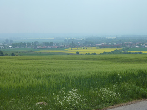 Neuwegersleben, Landschaft