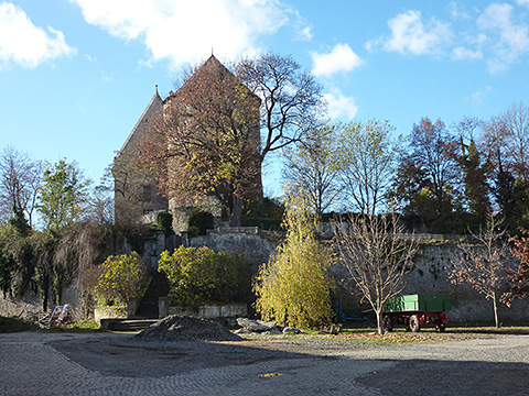 Hornburg, Burganlage