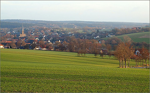 Schwaney