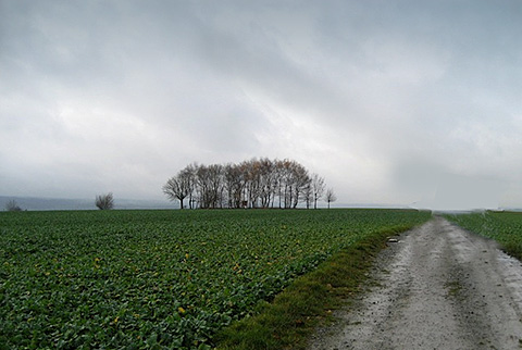 Station 38, Landschaft