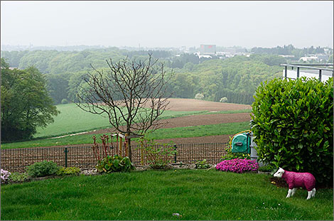 Aussicht nach Wermelskirchen