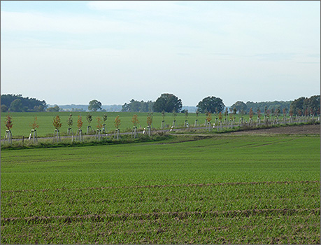 Zitz, Blick nach Dretzel