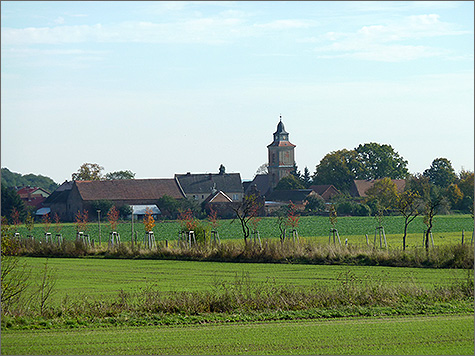 Zitz, Dorfansicht