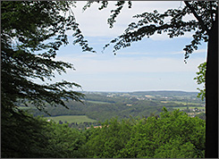 Landschaft